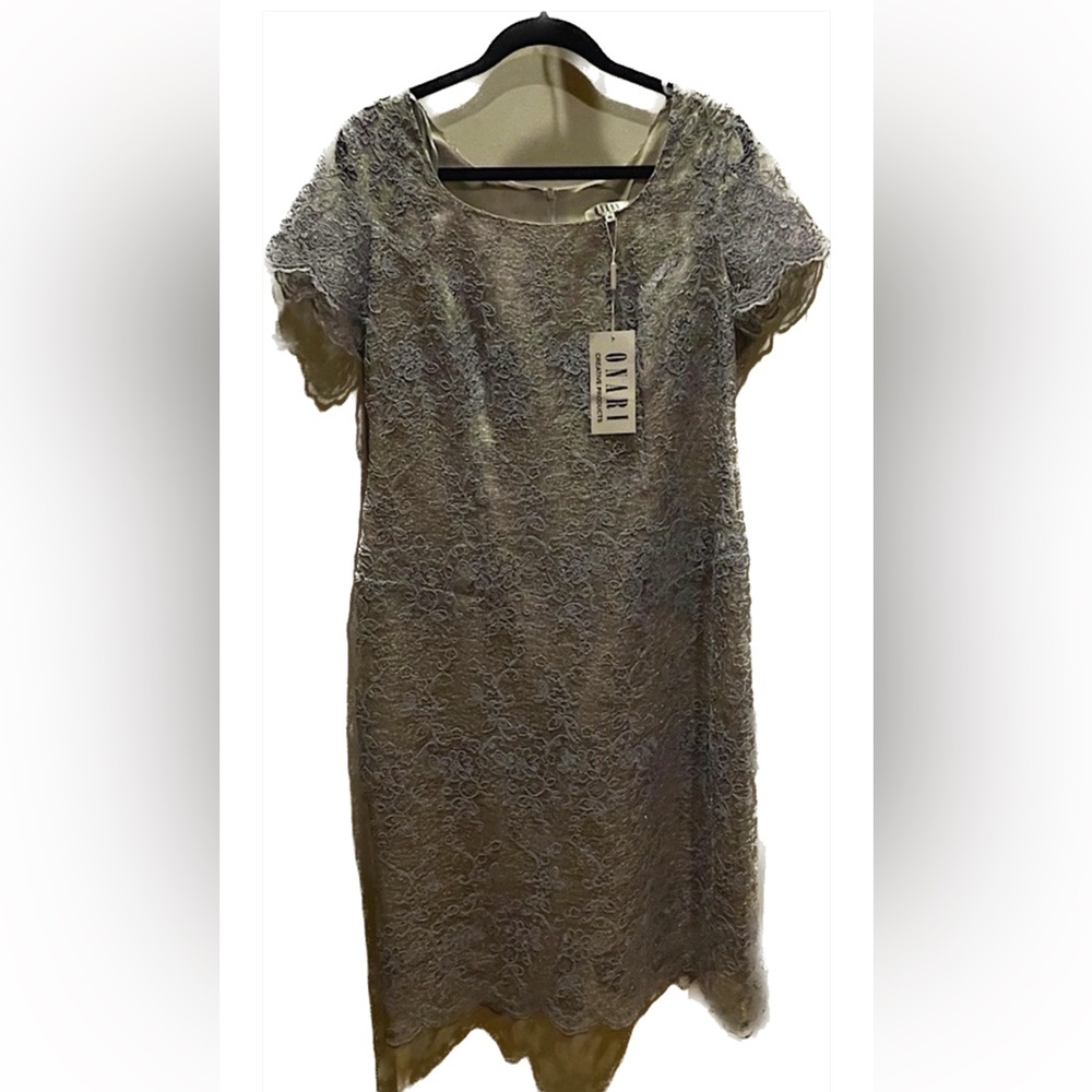 NWT Lace type dress